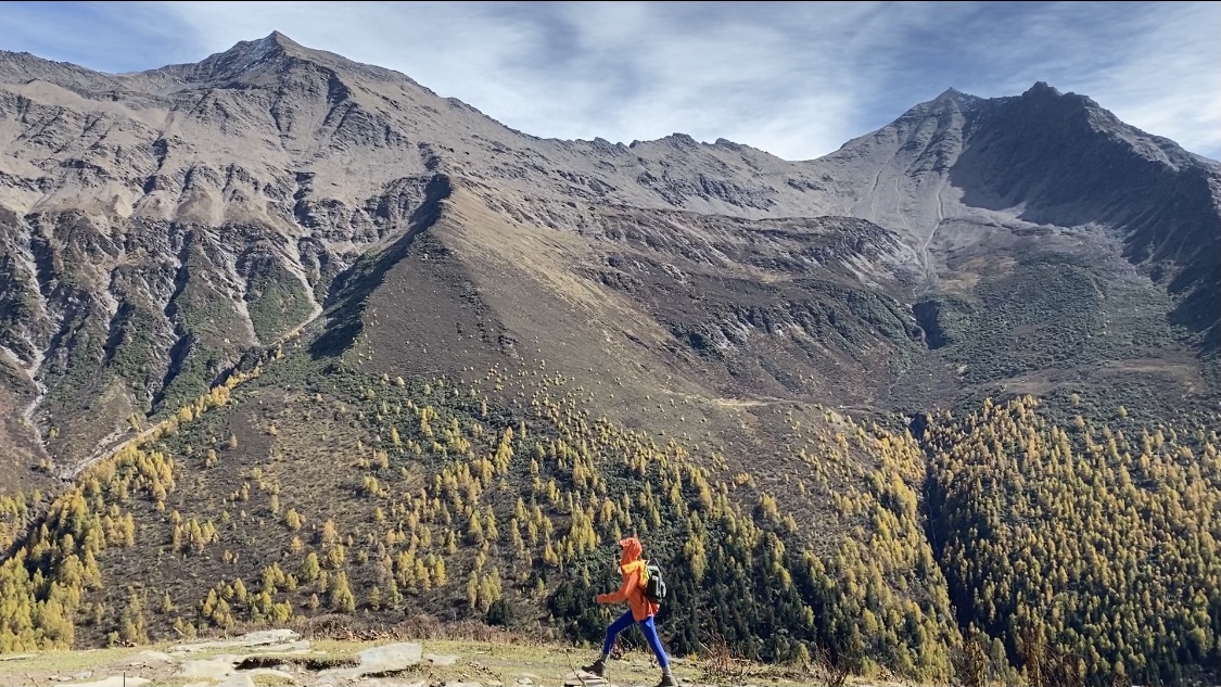 dy便宜的自助下单平台